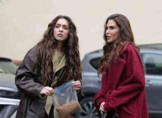 Leyla Hayat Aşk Adalet 10. Bölüm: Aile Sırları ve Artan Gerilim! news-19112024-020311