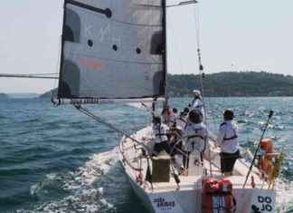 Aşşa Belgeseli: GAİN’de İzleyin! news-27112024-235209