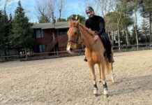 Oğuz Peçe Binicilik Derslerine Başladı – Eğitim Programı ve Detayları ouz-pee-binicilik-derslerine-balad-eitim-program-ve-detaylar