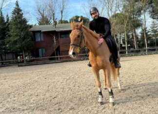 Oğuz Peçe Binicilik Derslerine Başladı – Eğitim Programı ve Detayları ouz-pee-binicilik-derslerine-balad-eitim-program-ve-detaylar