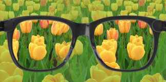 Renk Körlüğü: Nedenleri, Türleri ve Günlük Hayata Etkileri renk körlüğü, renk körlüğü testi, renk körlüğü gözlüğü, renk körlüğü nedir, renk körlüğü lensi, renk körlüğü tedavisi, renk körlüğü çeşitleri